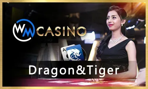 Interactive PHTAYA Live Casino gameplay